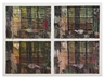 Jennifer Bartlett, Earth: Closet