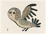 Eegyvudluk Pootoogook, Lucy Qinnuayuak, Lucy's Owl