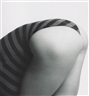 Robert Mapplethorpe, Lisa Lyon
