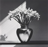 Robert Mapplethorpe, Irises