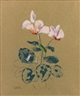 Odilon Redon, CYCLAMEN