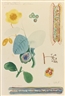 Odilon Redon, FEUILLE D'ÉTUDE: BRANCHES FLEURIES, PAPILLON ET DÉCORATION