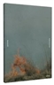 "Rinko Kawauchi: Ametsuchi" by Rinko Kawauchi