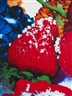 Marc Quinn, Portraits of Landscapes