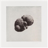 Rachel Whiteread, 12 Objects, 12 Etchings