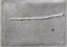 Pier Paolo Calzolari, Untitled
