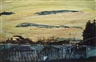 Nobuyoshi Araki, Skyscape