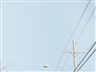 Brian Alfred, Telephone Pole Painting