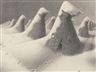 Grant Wood, January