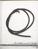 Bernar Venet, UNDETERMINED LINE