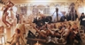 David LaChapelle, Berlin Stories
