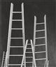 Louise Bourgeois, The Ladders