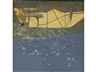 Andrew Macara, Aviary, Gran Canaria