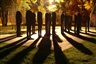 Kansas City Sculpture Park named for Donald J. Hall