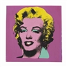 Elaine Sturtevant, Warhol Marilyn