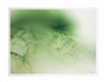 Wolfgang Tillmans, Freischwimmer 50