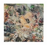 Cecily Brown, Skulldiver 2