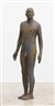 Antony Gormley, 6 Times Left