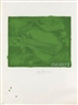 Jasper Johns, Torso
