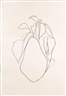 Ellsworth Kelly, Pear I