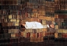 Maria Friberg, Still Lives #3