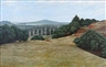 Mark Cross, Maugakeikei, Remuera and Rangitoto