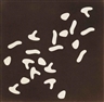 Jean Arp, Variables Bild (3 x 7 = 21 Formen)