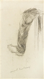 LA JAMBE DU PAYSAN