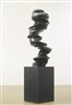 Tony Cragg, BLACK DIABAS