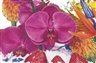 Marc Quinn, SUMMER IN FROBISHER BAY