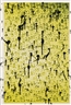 Christopher Wool, UNTITLED (D16)