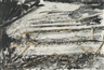 Anselm Kiefer, DES MALERS ATELIER