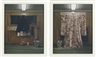 Matthew Barney, DRAWING RESTRAINT 9: THE TERRESTRIALS