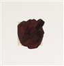 Roni Horn, UNTITLED