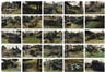 Olafur Eliasson, THE PARK SERIES