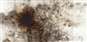 Cai Guo Qiang, Black Sunflower