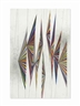 Mark Grotjahn, Untitled