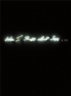Tracey Emin, When I Think about Sex …