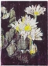 Enoc Pérez, Daisies