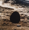 Helen Sear, Scan/Scape 6