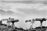 Sebastião Salgado, Wood Delivery Men, Eastern Sierra Madre, Mexico