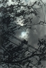 Wolfgang Tillmans, Eclipse II-3