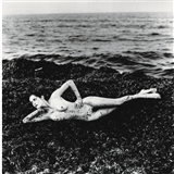 Nude in Seaweed, Saint Tropez, (De Private Property I)