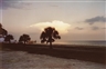 William Eggleston, Untitled 1980