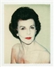 Instant Photographs, Lasting Images