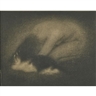Edward Steichen, Nude with Cat