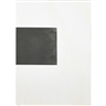 Rosemarie Trockel, White Carrot