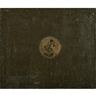 Joe Andoe, Untitled (Poppy)