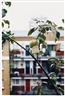 Wolfgang Tillmans, PLEASE LEAVE THIS ONE