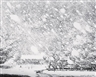 Robert Häusser, SCHNEETREIBEN I (SNOW DRIFT I)